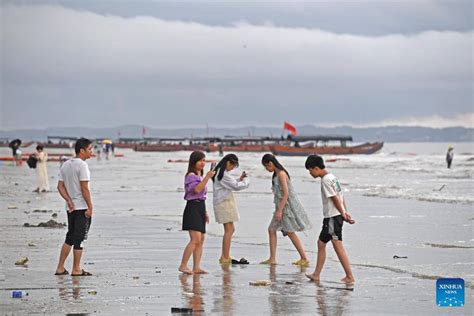 芽莊海灘在哪裏：探索神秘海岸线的多重魅力